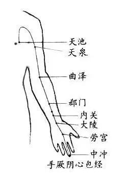 心肝脾肺腎 實用五臟養生