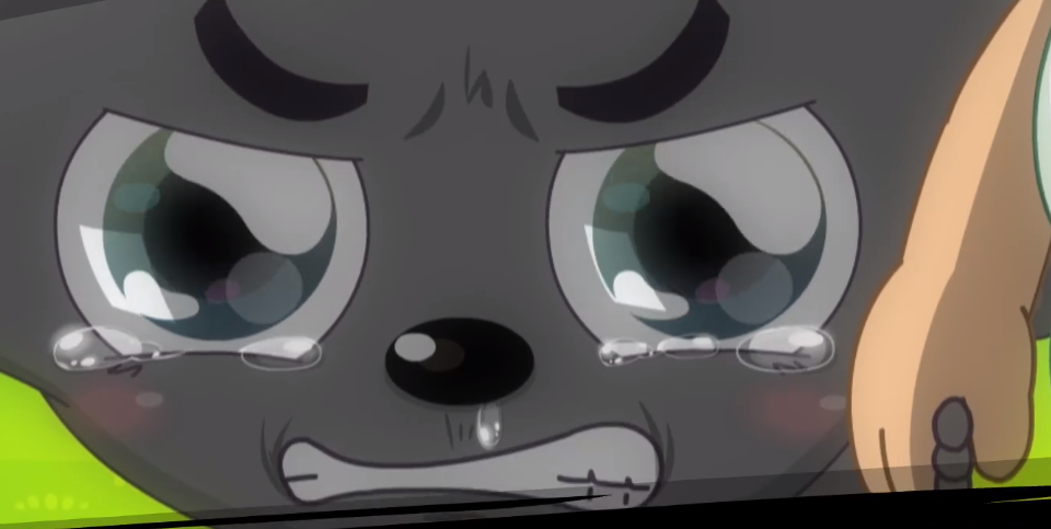 太狼是没有能力了处理小灰灰的事情了,她伤心的在一旁落泪,离开了狼堡