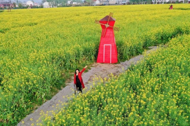 通过产业融合,不仅让农业强起来,也让关湖村的村民富了起来.