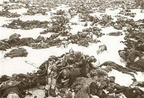 真实的列宁格勒战役:被围城900天,50万人被饿死,老鼠都被吃光