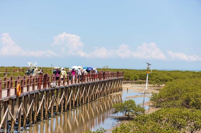 廣西北海紅樹林景區門票80元,電瓶車票25元,要坐三段電瓶車