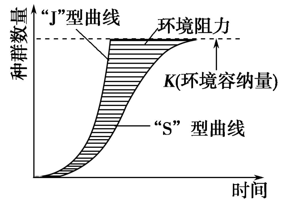 j型s型曲线图片