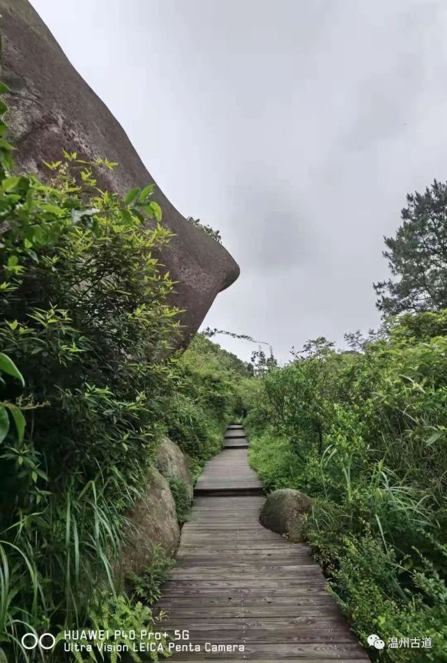 深藏在大罗山中的亿年龙脊,作为温州人要去一次!