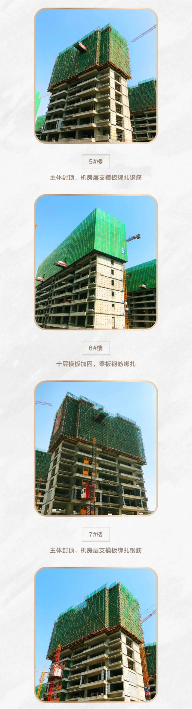 建业·世和府6月家书 