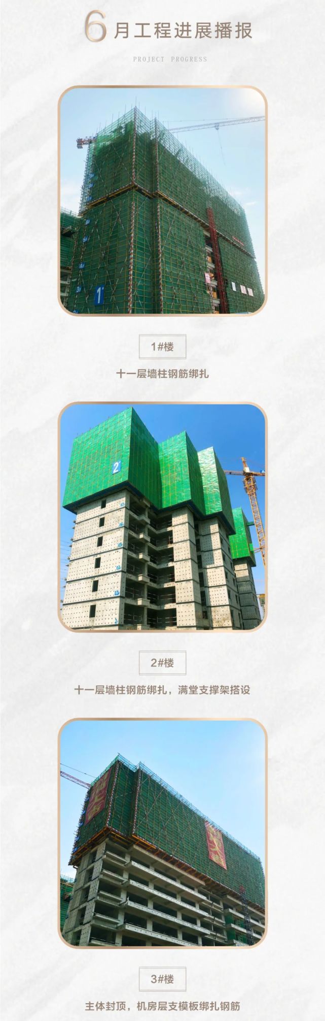 建业·世和府6月家书 