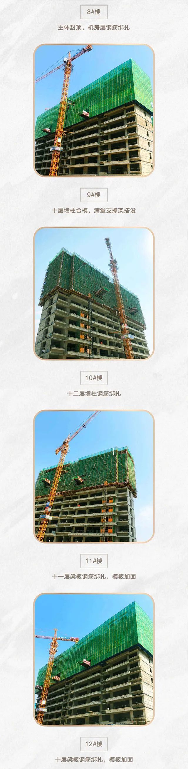 建业·世和府6月家书 