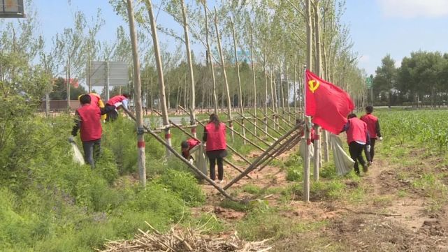 前郭县王府站镇开展高铁高速沿线环境综合整治行动