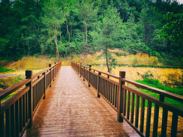 公园栈道  摄:叶雪禅