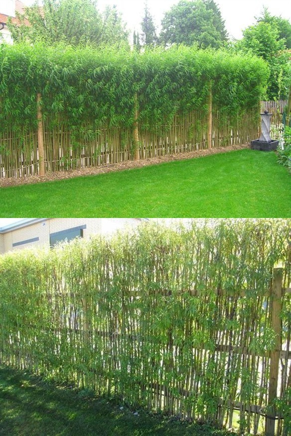 挖个花池,妥妥的休闲花园庭院,这时候,竹子围成院子围栏,比砖块围墙更