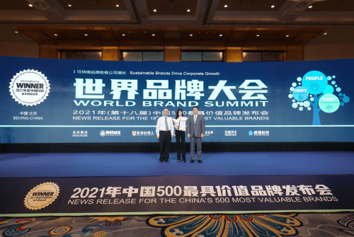 国内钻石品牌排行_2021中国品牌500强排行榜强势出炉!迪阿股份旗下的DR钻戒升至245...