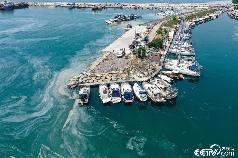 土耳其马尔马拉海遭遇海鼻涕危机