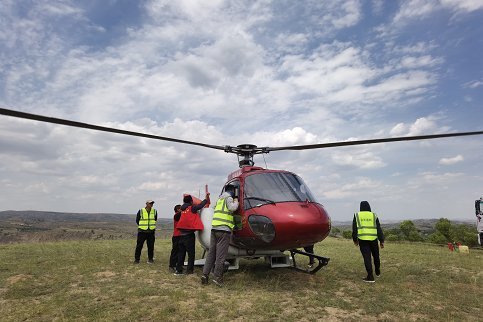 人工模拟飞播试验的基础上,首次启动黄土丘陵沟壑区飞机播种造林工程