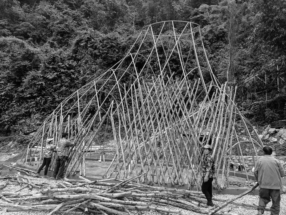 树枝搭建的森林公园入口雨林秘境