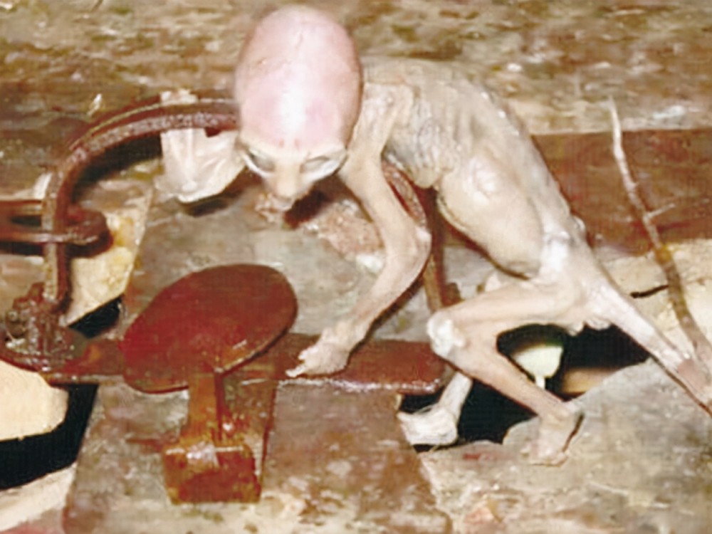 外星人真的存在吗?ufo事件频繁出现,目击者也许在说谎.