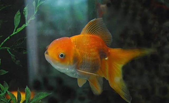 神奇到不可思议的《冷知识》