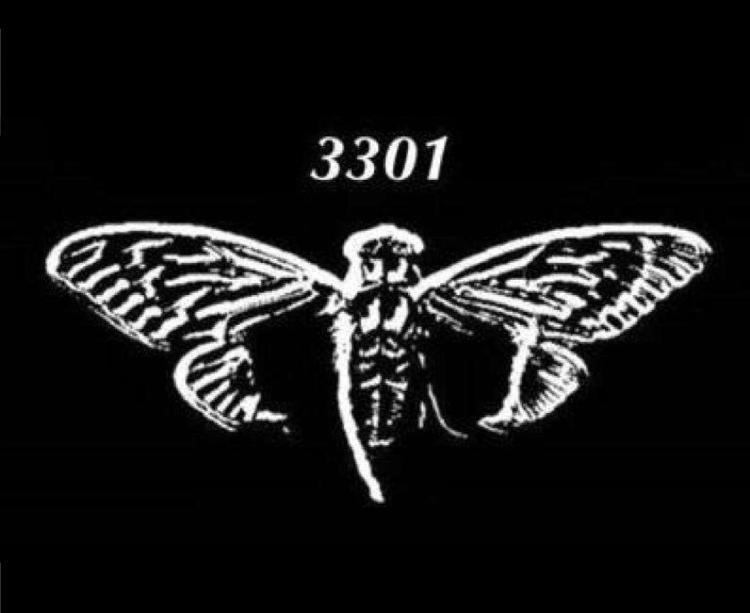 蝉3301到底是一个什么样的神秘组织