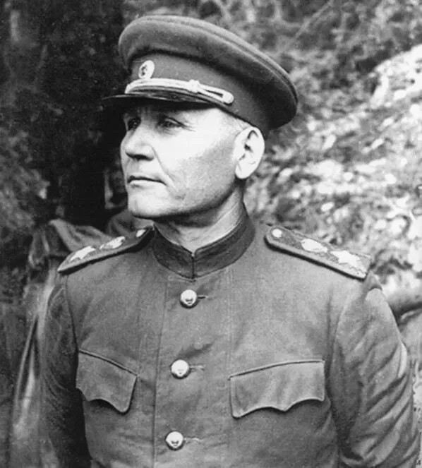 二战苏军政委真是躲在部队后面督战监工的存在不用带头冲锋吗