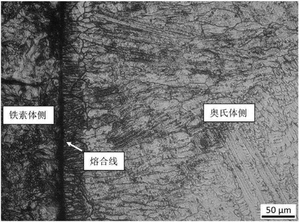 奥氏体晶核通常优先在铁素体和渗碳体的相界面上形成,这也是因为在相