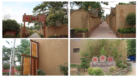 【我为群众办实事】郏县姚庄回族乡:以践行提升群众获得感,幸福感和