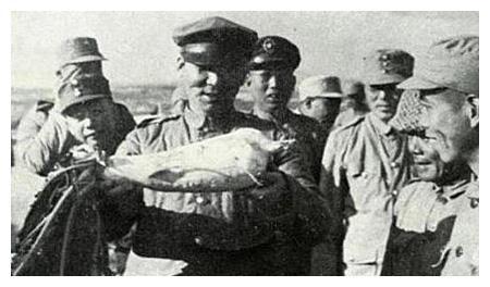 如果蒋介石重用这三个人 也许历史将会改写