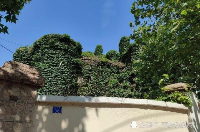 青岛市龙口路36号的故事