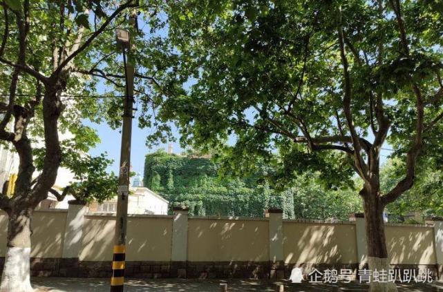 青岛市龙口路36号的故事