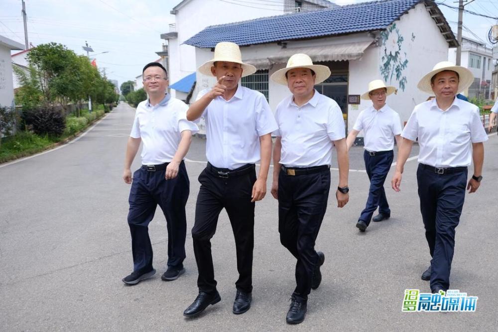 副省长陈飞来汨调研乡村振兴示范创建和重点项目建设工作