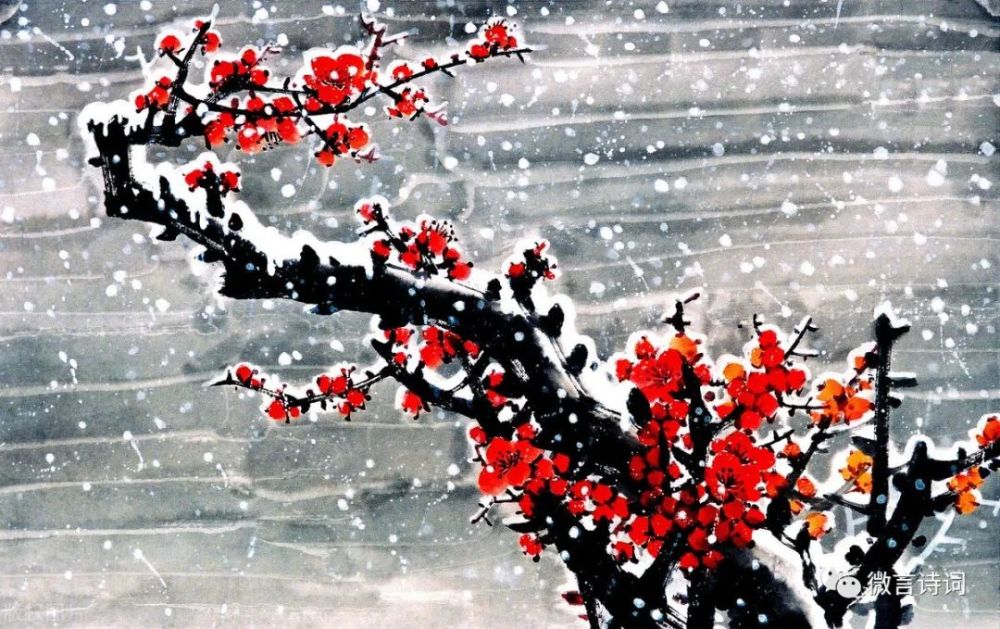 原创词一首梅花引梅花