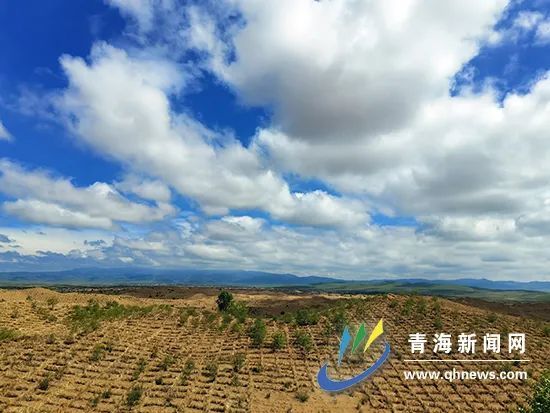 海南藏族自治州貴南縣地處黃河流域,境內黃河總長174.