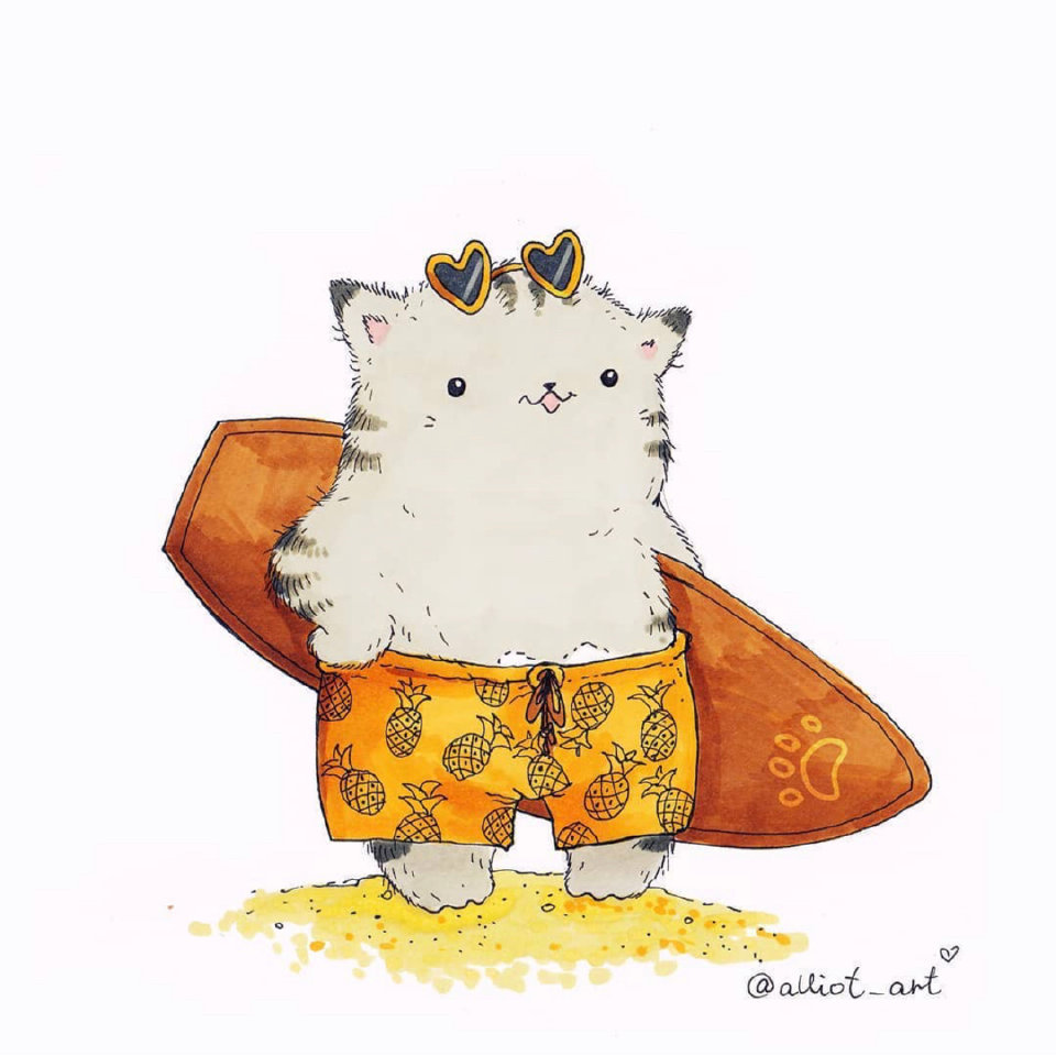 萌化了的小猫咪