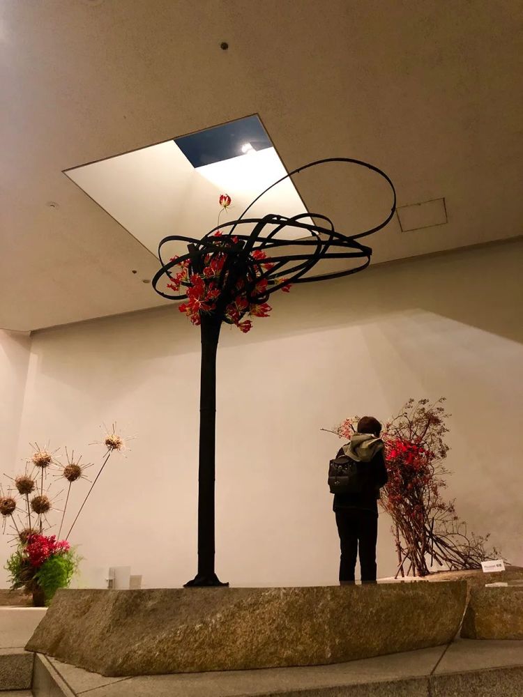 花 草 为友 日 月 生辉 专访草月流一级师范顾问胡兴智 腾讯新闻