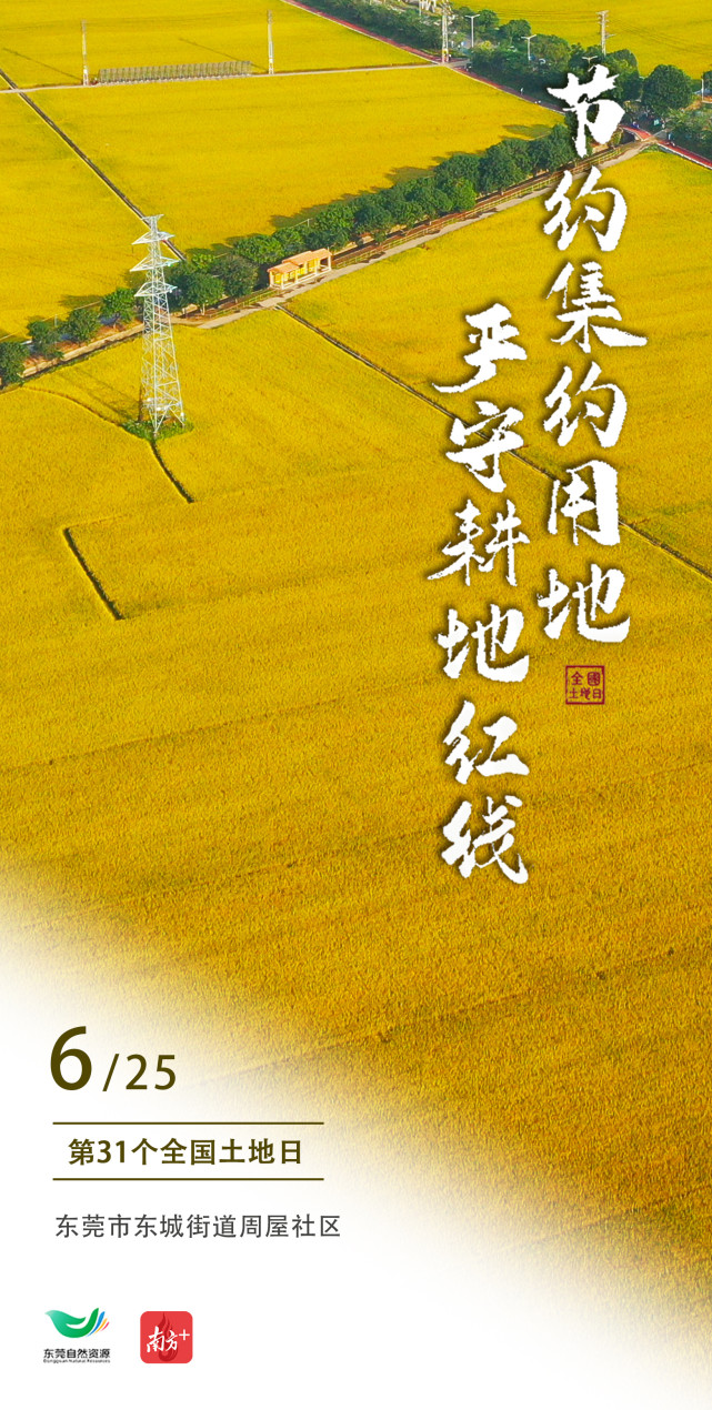 多图东莞制造之城守护耕地红线