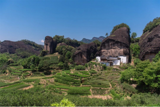 东方六禾武夷岩茶山场说:茶界名门马头岩的包罗万象