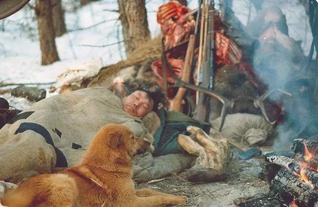 知青回忆"打狼":草原居民没人喜欢狼,《狼图腾》是无稽之谈