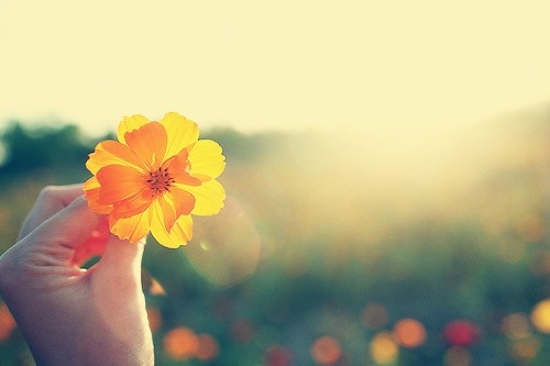 表达父女感情好的心情说说