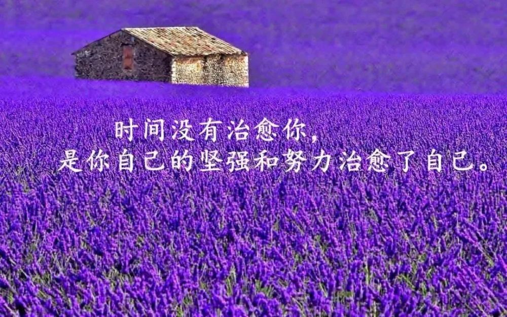 一段很現實的話適合發朋友圈最透徹的人生感悟