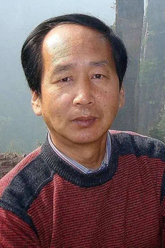 艺术传承张卫星书画作品鉴赏