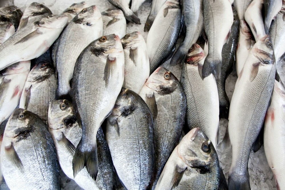 鱼价又飘了 小龙虾涨一倍 甲鱼亩赚50万 鱼农理性养殖 腾讯新闻