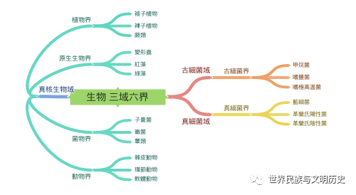 地球生物全系列從單細胞到人類生物的三域系統