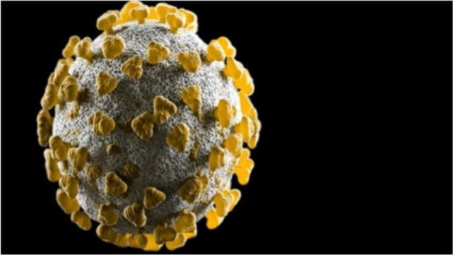 英国检测到 41 例冠状病毒 delta k417n 变种病例