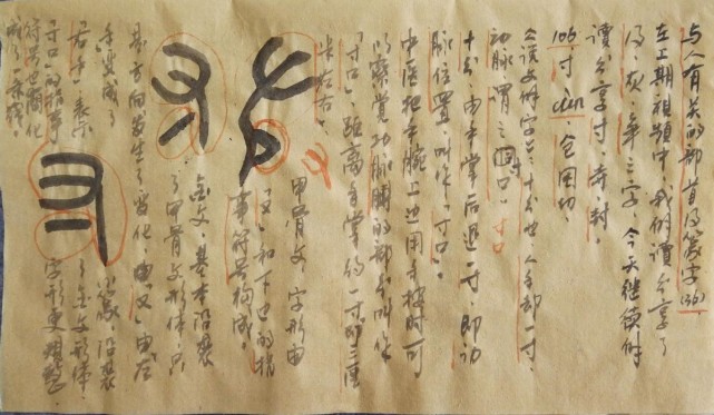 篆字識讀36:寸,寺,封,寸寺是命脈中樞,封則為生存之道|篆字|甲骨文