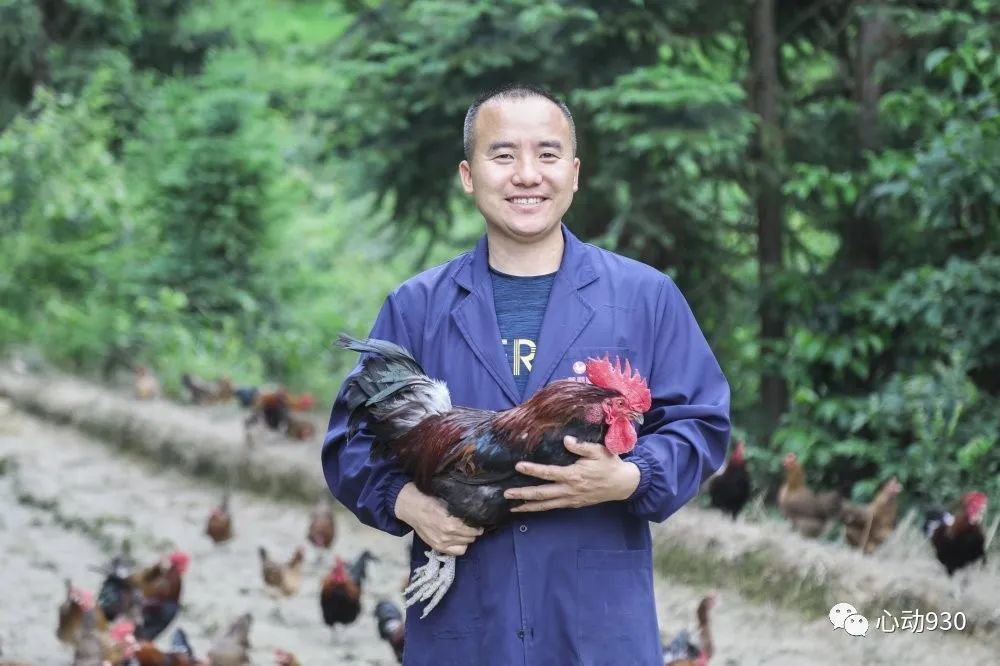 "我和我的党支部"——开怀街道寨瓦村党支部书记张永贤