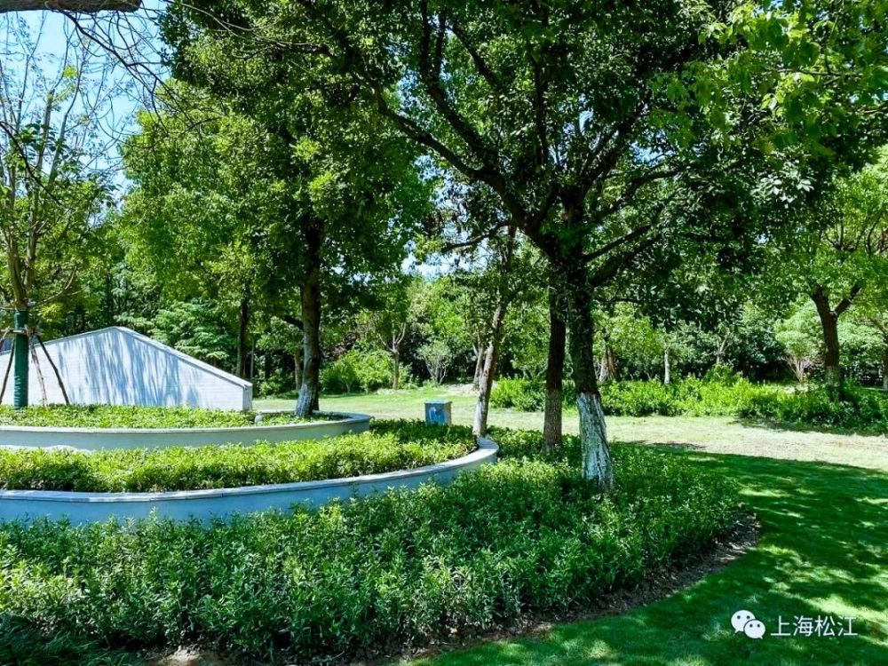 松江这里新增一个街心花园,你去过了吗?