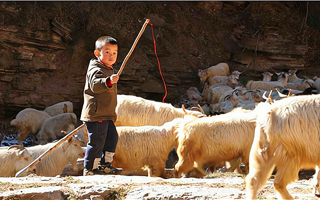 高考第一女状元,获奖学金金额公开,网友惊叹:考出来了一套房