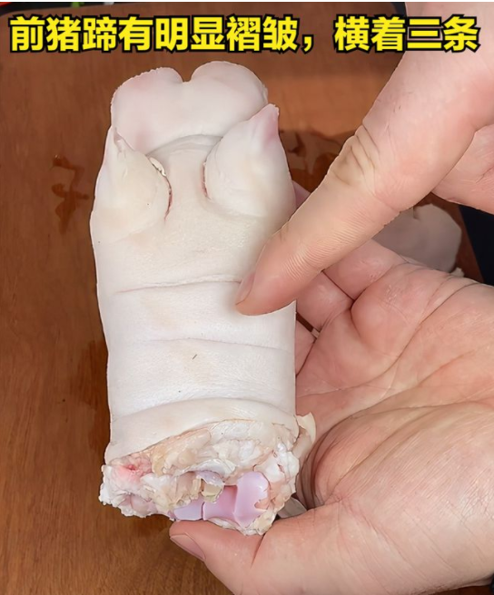 同是猪蹄前蹄和后蹄有何区别今天才知道不再买错