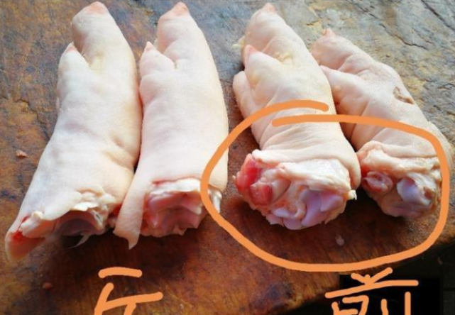 同是猪蹄前蹄和后蹄有何区别今天才知道不再买错