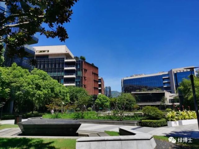 来虹桥绿谷广场,拥抱绿意森林丨花园单位