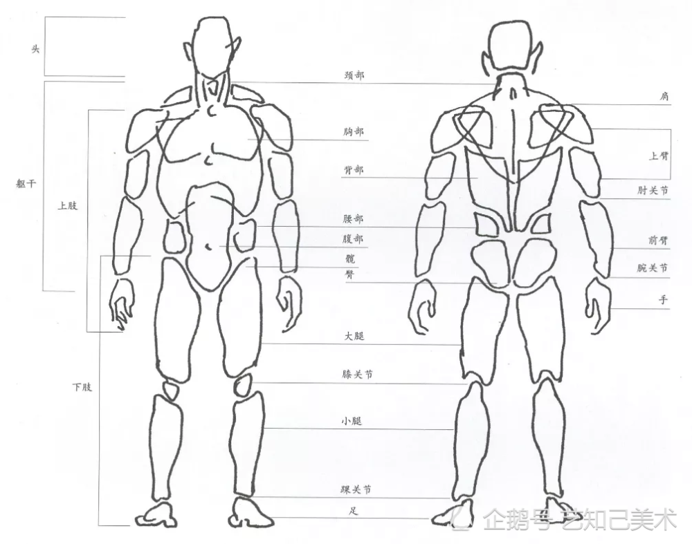 速写衣褶怎么画 小衣褶有大学问 腾讯新闻