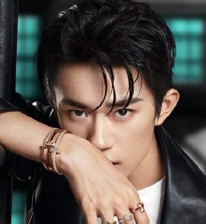 男明星湿发造型蔡徐坤撩人林彦俊从小说走出来的吧