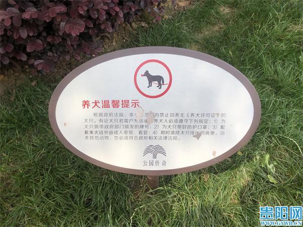 万科公园传奇小区内的养犬提示牌走进万科公园传奇小区,公告栏,大堂